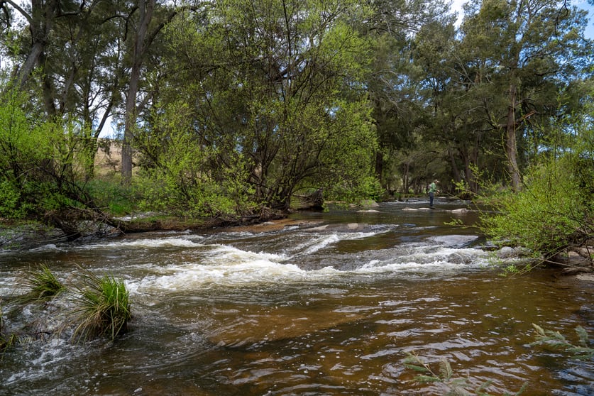 Click to view all images 1712 Hazelgrove Road Tarana NSW 2787 - Image 2