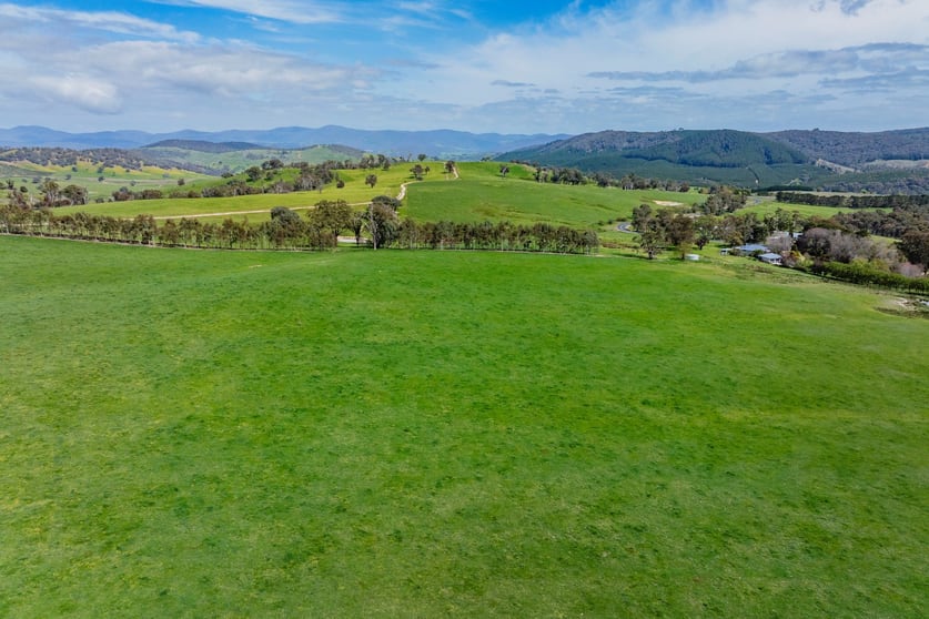 2026 Jingellic Road Tumbarumba NSW 2653 - Image 2