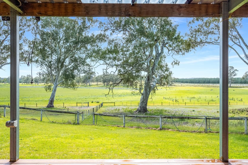 Click to view all images 1242 Old Comaum Rd Coonawarra SA 5263 - Image 1