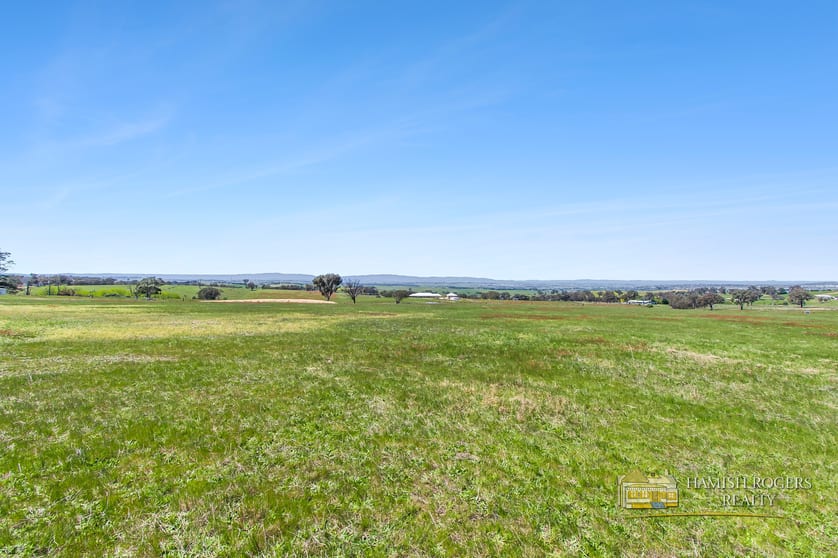 399 Mount Rankin Road Mount Rankin NSW 2795 - Image 1