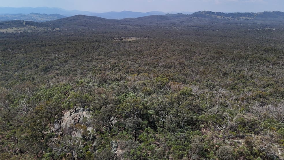 Lot 8 Binghi Road Tenterfield NSW 2372 - Image 1