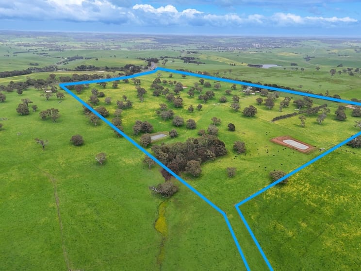 66 Casterton-Edenhope Road Casterton VIC 3311 - Image 3
