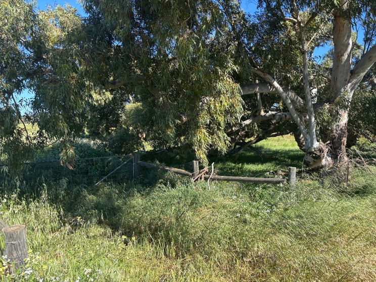 Click to view all images Lot 1914 Minnenooka Road Minnenooka WA 6532 - Image 2