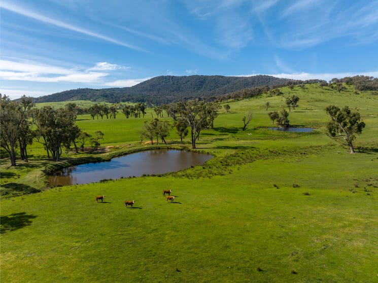 Click to view all images 589 Tooma Road Tumbarumba NSW 2653 - Image 2
