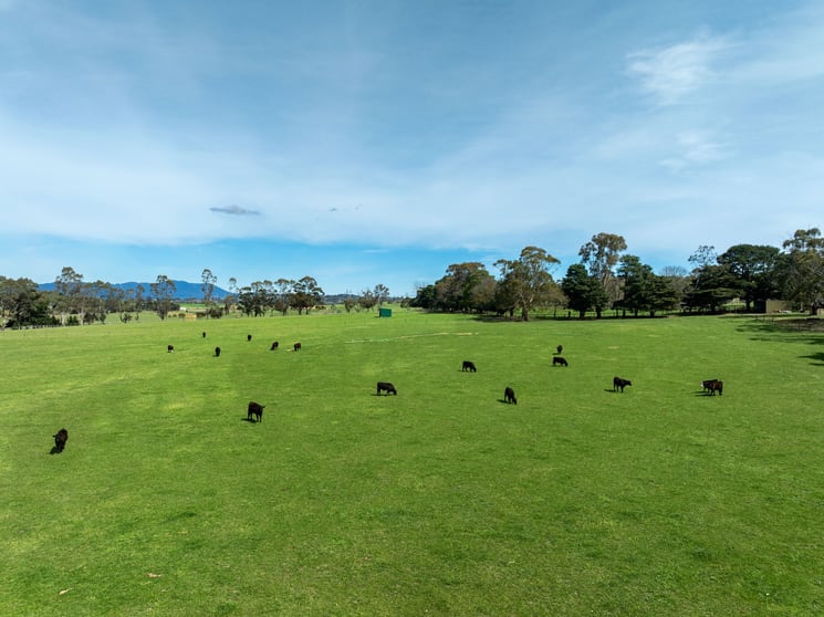 Click to view all images 34-38 Coldstream West Road Coldstream VIC 3770 - Image 3