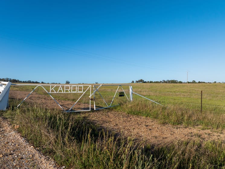 Click to view all images 11 Karoo Lane Walmer NSW 2820 - Image 3