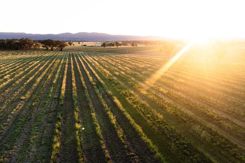 Lot 1 Black Springs Road Mudgee NSW 2850 - Image 3