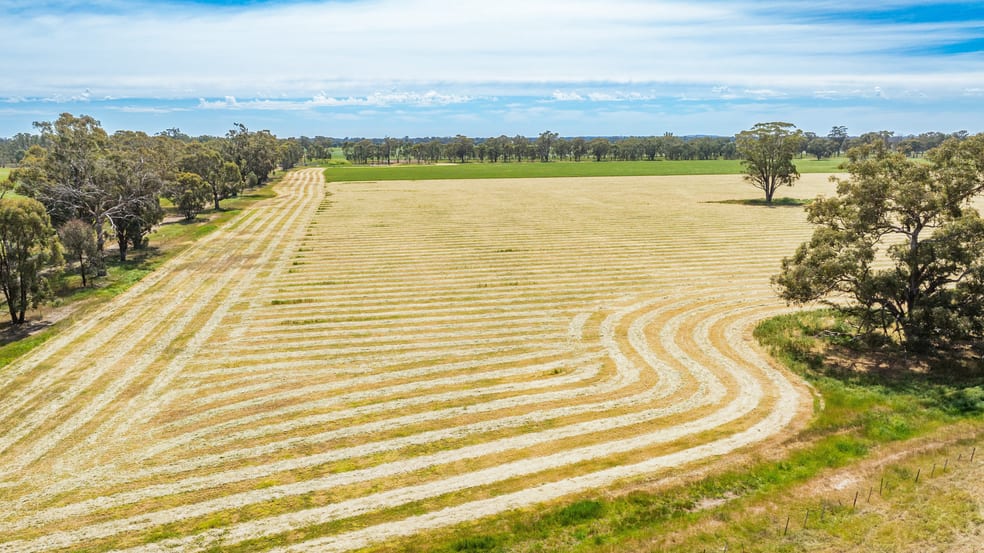 Click to view all images Lot 1 Boorhaman-Springhurst Road Springhurst VIC 3682 - Image 2