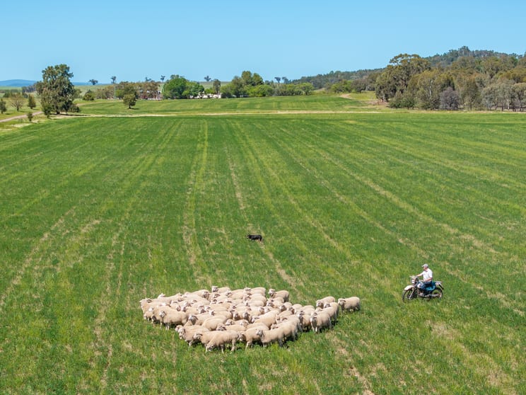 Click to view all images 92 Campbells Lane Canowindra NSW 2804 - Image 1