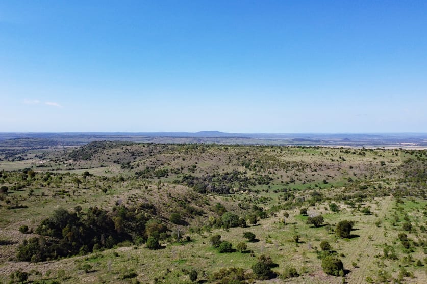 Thangool QLD 4716 - Image 1