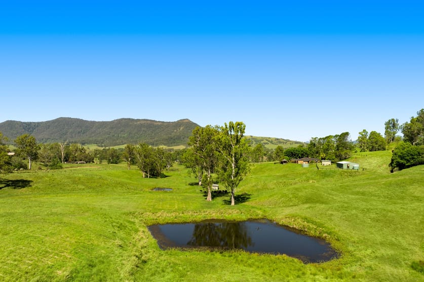 Click to view all images 1255 Wiangaree Back Road Kyogle NSW 2474 - Image 1