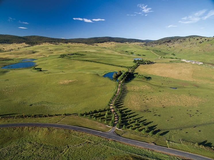 Click to view all images Omeo VIC 3898 - Image 3