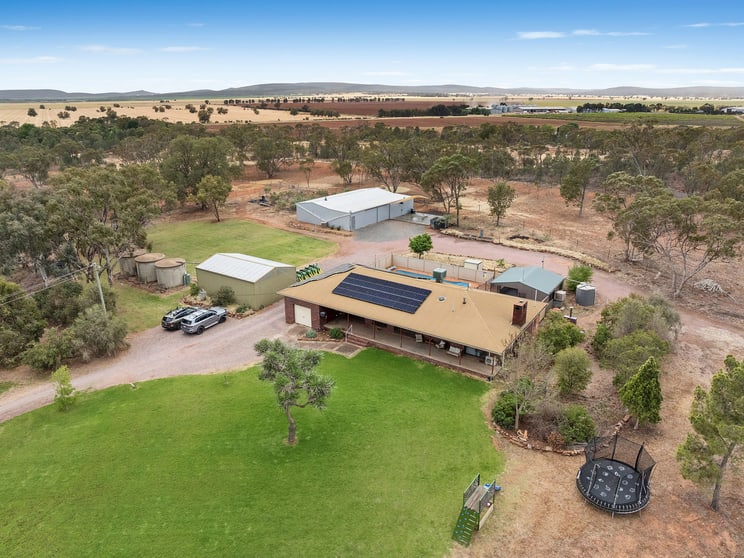 340 Carbone Road Leeton NSW 2705 - Image 3