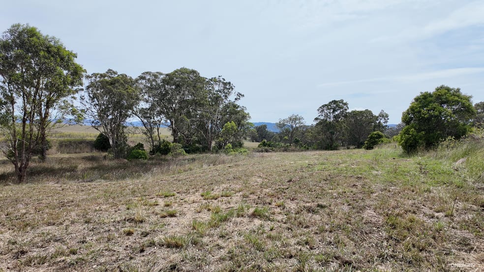 Lot 52 New England Highway Murulla NSW 2337 - Image 3