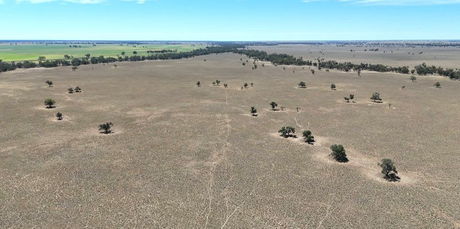 923 Warrena Road Coonamble NSW 2829 - Image 1