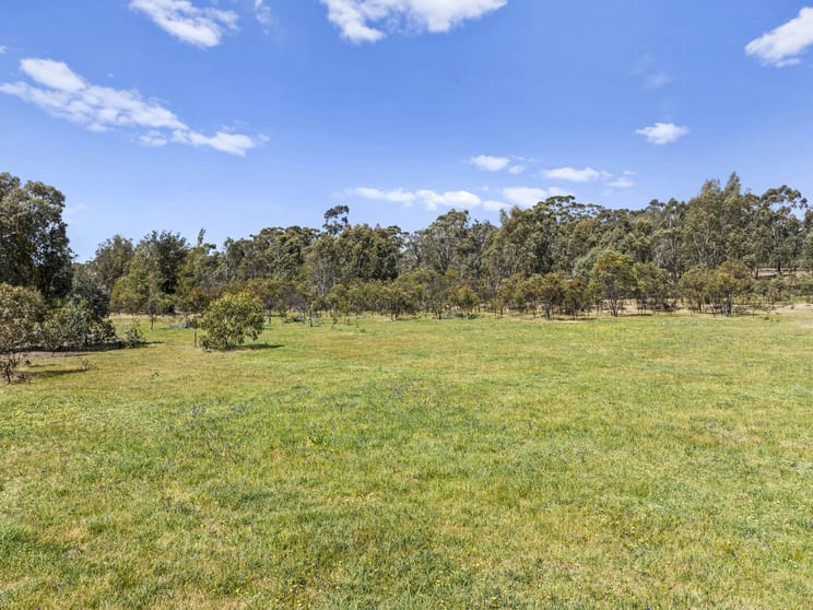 Lot 2 Gellibrand Tonks Road Earlston VIC 3669 - Image 3