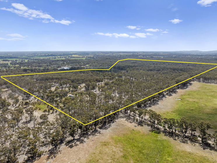 Lot 3 Gellibrand Tonks Road Earlston VIC 3669 - Image 2