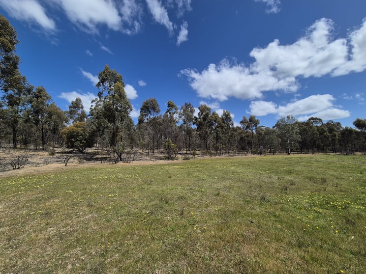Lot 3 Gellibrand Tonks Road Earlston VIC 3669 - Image 3
