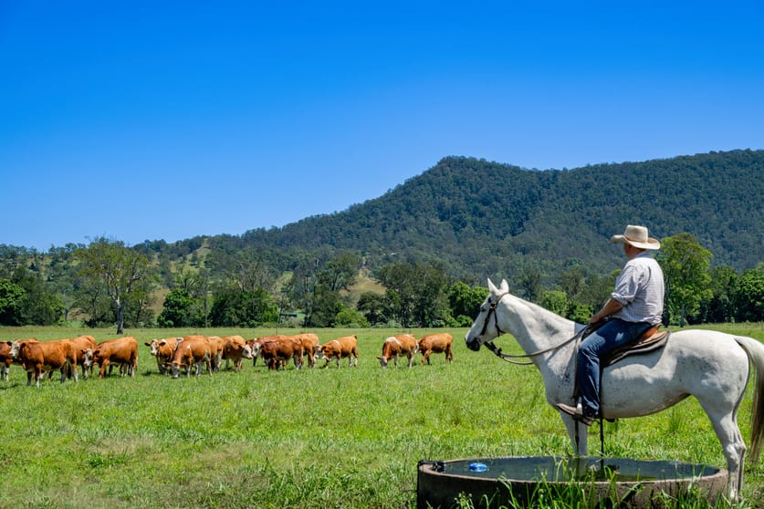 Click to view all images 800 Fawcetts Plain Road Kyogle NSW 2474 - Image 2