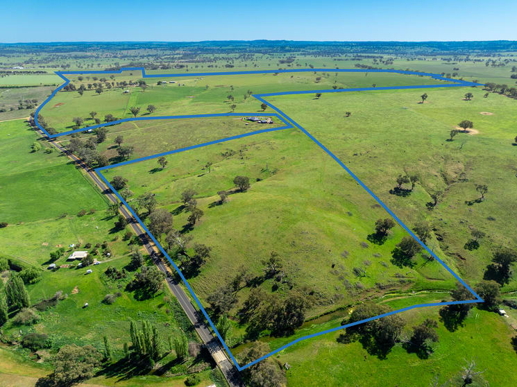1097 Davys Plains Road Cudal NSW 2864 - Image 1