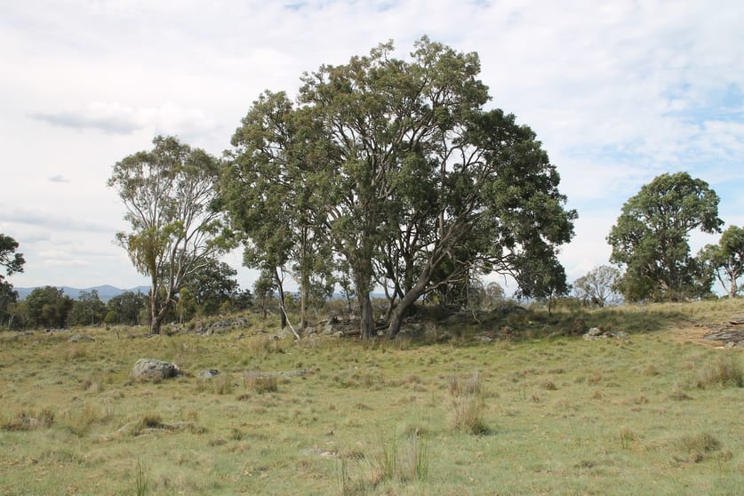 Click to view all images Lot 158 Woodside Road Tenterfield NSW 2372 - Image 2