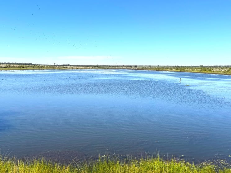 Click to view all images 1081 Tareela Access Road Mungallala QLD 4467 - Image 3