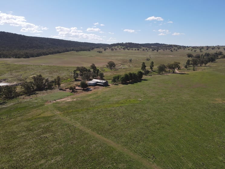 "Babynda" 829 Eulimore Road Eugowra NSW 2806 - Image 2