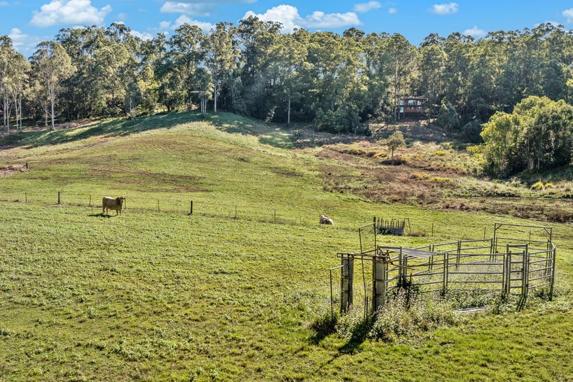 Click to view all images 28 Country Road Palmwoods QLD 4555 - Image 2