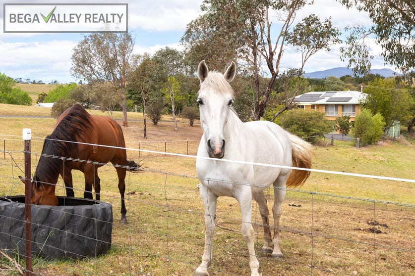 Click to view all images 5 Springfield Road Kameruka NSW 2550 - Image 1
