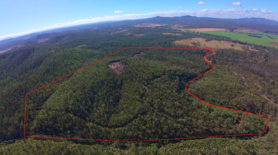 Lot 11 Ewingar Road Bulldog NSW 2469 - Image 2