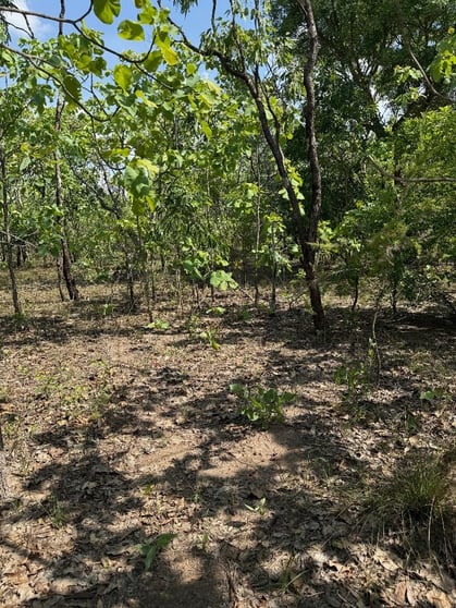 133 Stephen Road Marrakai NT 0822 - Image 2