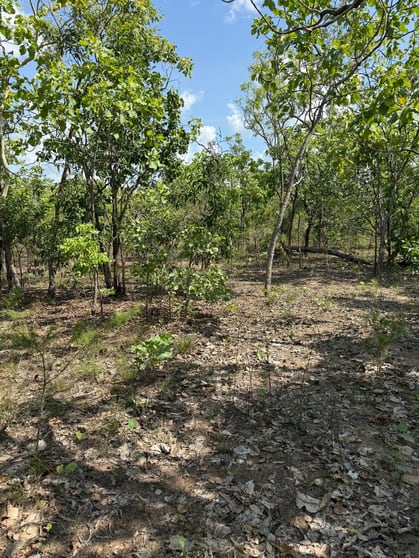 133 Stephen Road Marrakai NT 0822 - Image 1