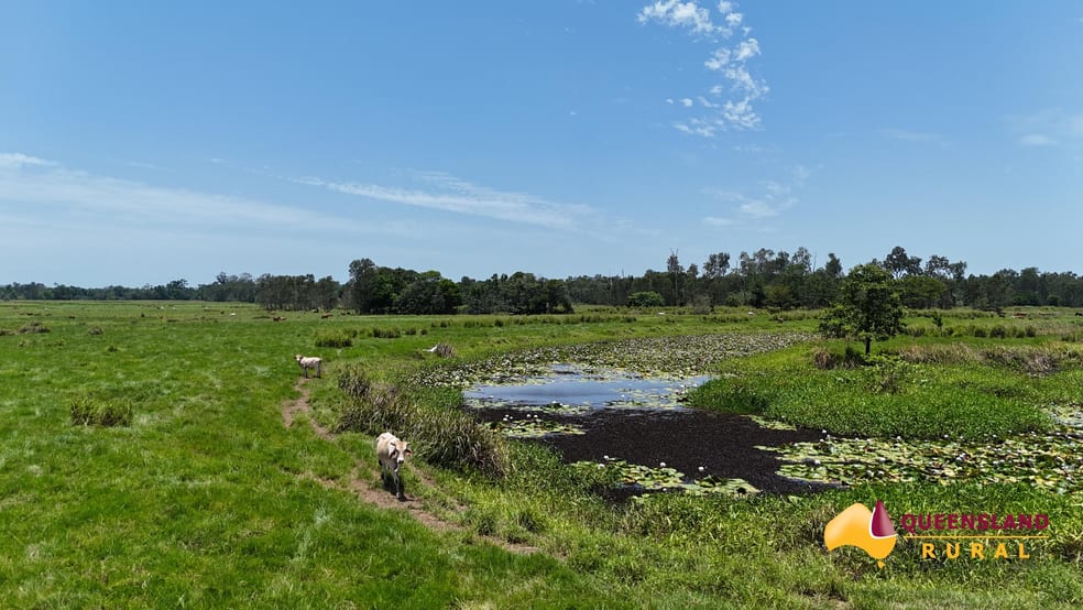 Euramo QLD 4854 - Image 3