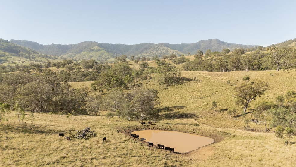 'East Toombimba' Kars Springs via Scone NSW 2337 - Image 1