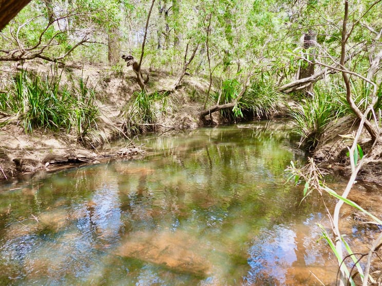 215 Cassell Road Kalunga QLD 4887 - Image 3