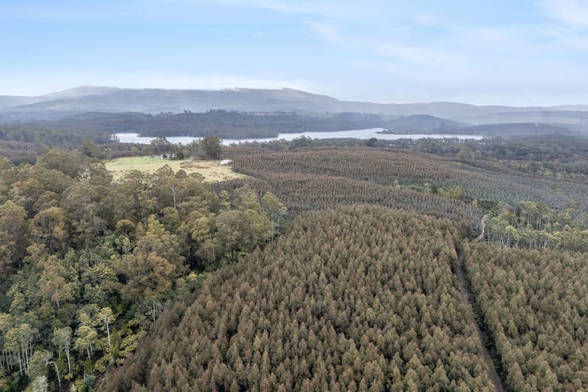 555 Diddleum Road Tayene TAS 7259 - Image 1