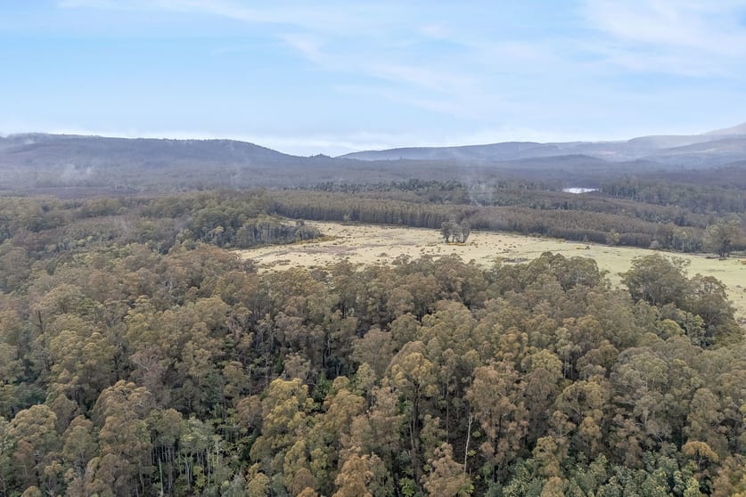 555 Diddleum Road Tayene TAS 7259 - Image 3