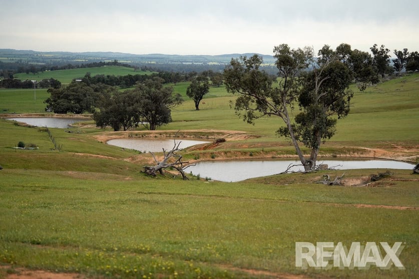 417 Twelve Mile Road Yarragundry NSW 2650 - Image 3