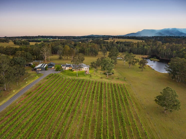 414 Deasys Road Pokolbin NSW 2320 - Image 2