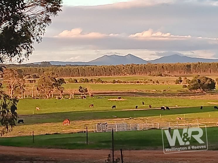 Narrikup WA 6326 - Image 3