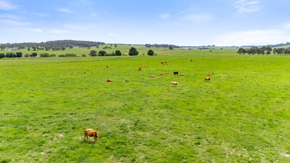 192 Dawsons Creek Road Bannister Via Crookwell NSW 2583 - Image 3