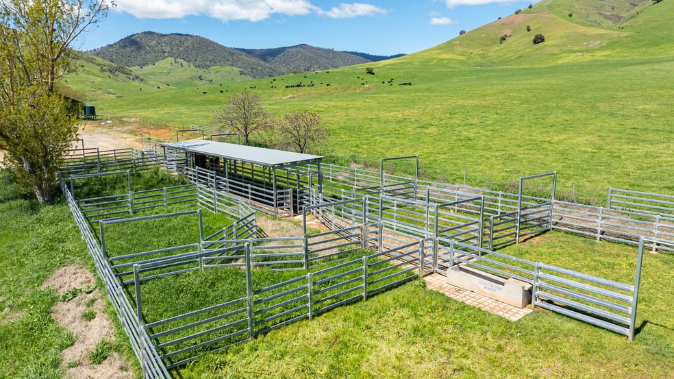 3465 Murray Valley Highway Berringama VIC 3691 - Image 3