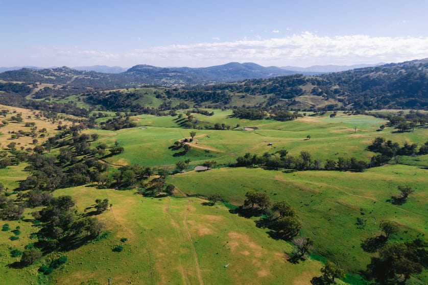 7390 New England Hwy Willow Tree NSW 2339 - Image 1