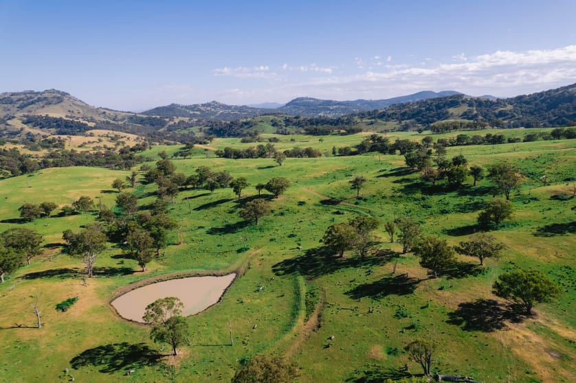7390 New England Hwy Willow Tree NSW 2339 - Image 2