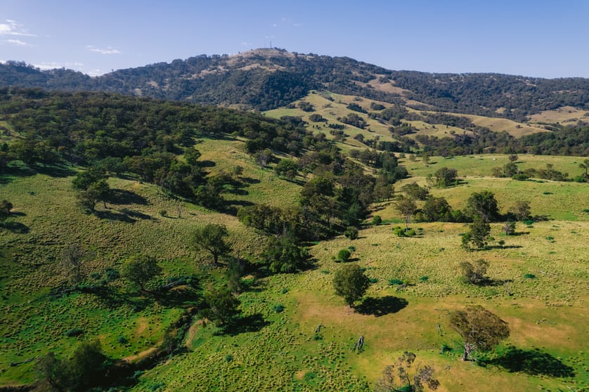 7390 New England Hwy Willow Tree NSW 2339 - Image 3