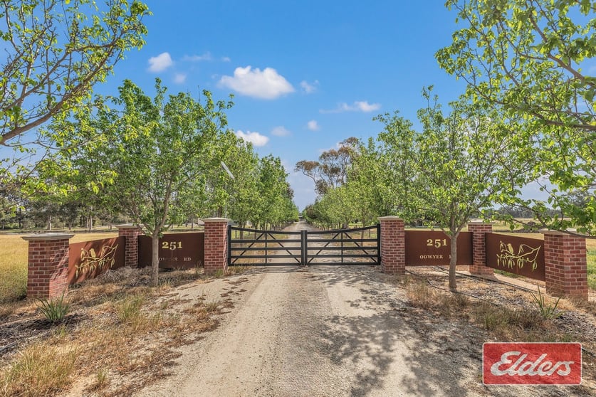 251 O'Dwyer Road Wharparilla VIC 3564 - Image 1