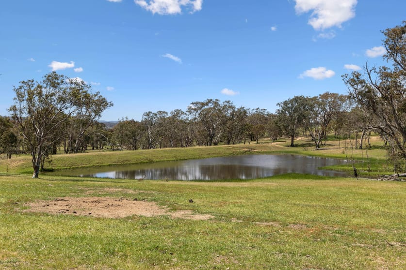 205 Pooleys Rd Goulburn NSW 2580 - Image 3