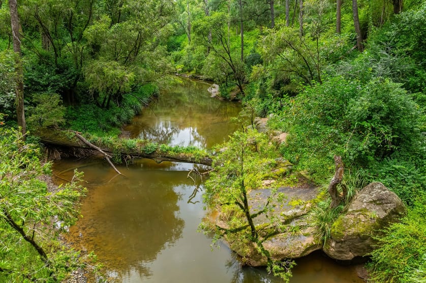 18 Ryans Road Bonalbo NSW 2469 - Image 1