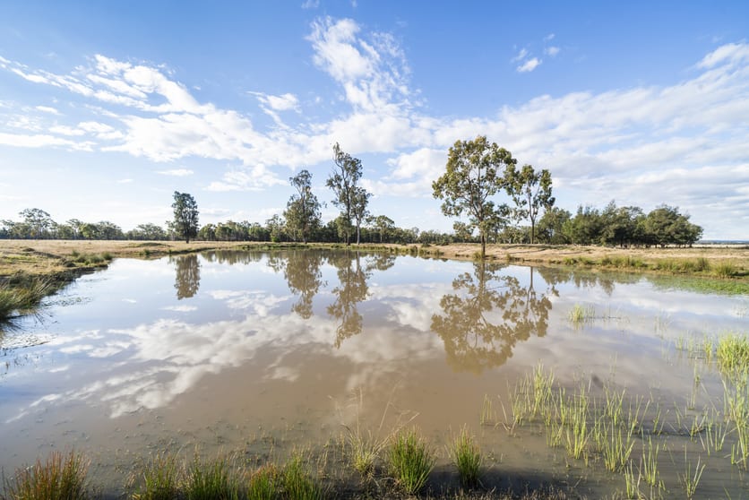 707 Rocky Creek Road Millmerran QLD 4357 - Image 2