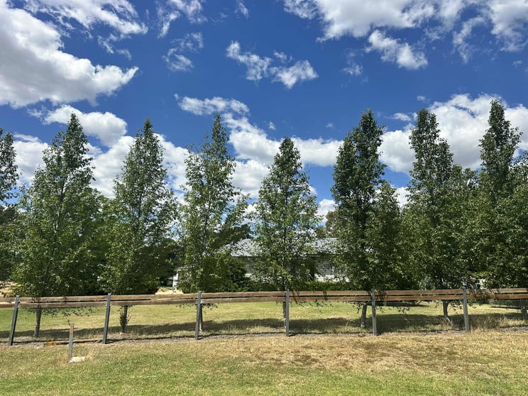 281 Spring Flat Road Mudgee NSW 2850 - Image 1